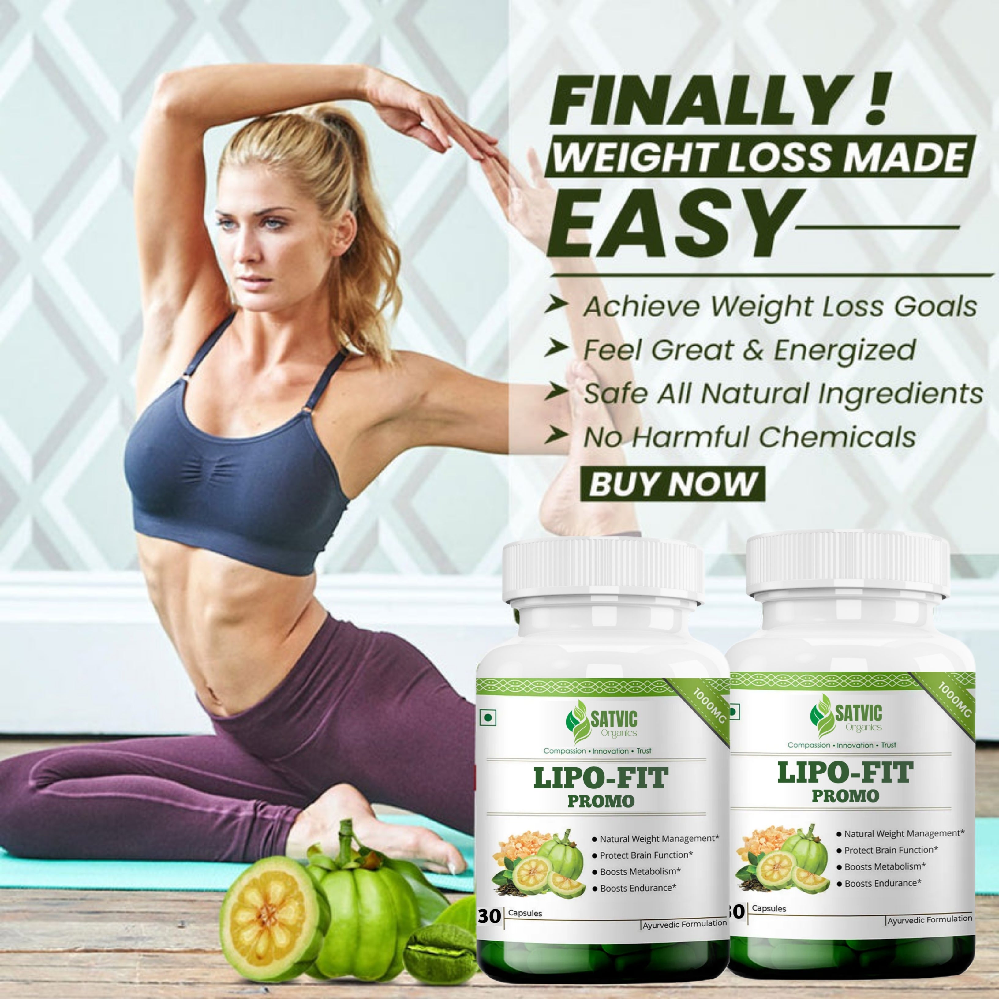 Lipo-Fit PROMO